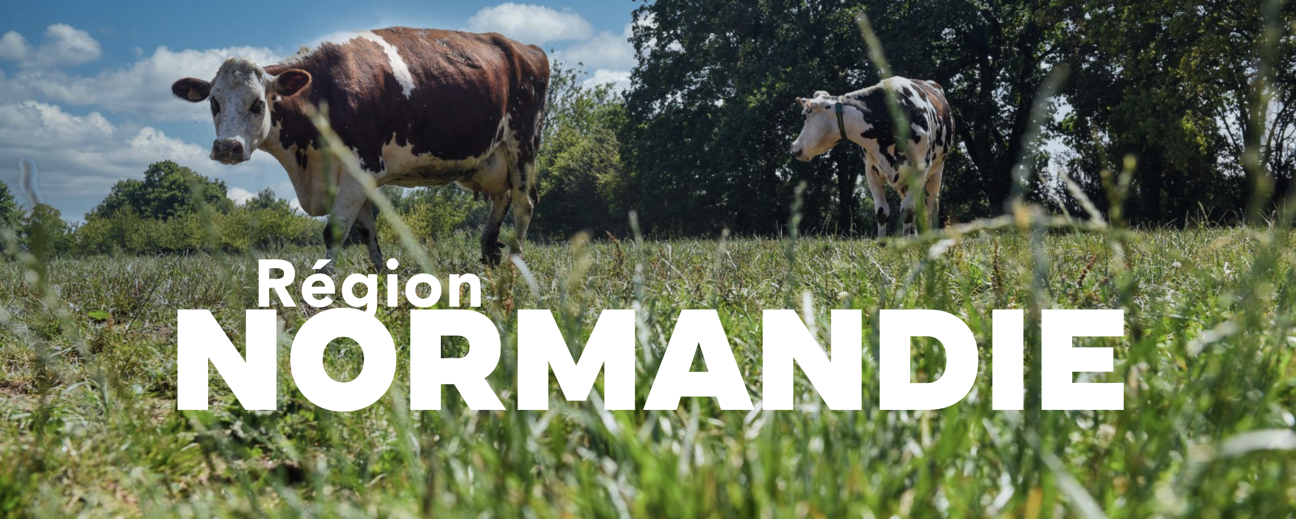 Normandie - background